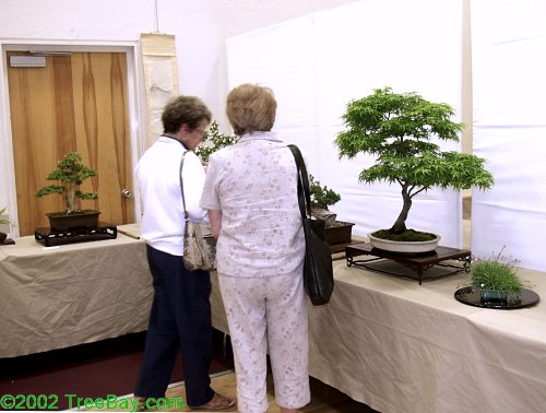sm_20020421Kusamura 140_adj.jpg